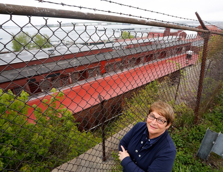 Anne Rand, a former state legislator, is spokeswoman for the Soul of Portland, which hopes to launch a citywide referendum to protect scenic views in Portland.
Derek Davis/Staff Photographer