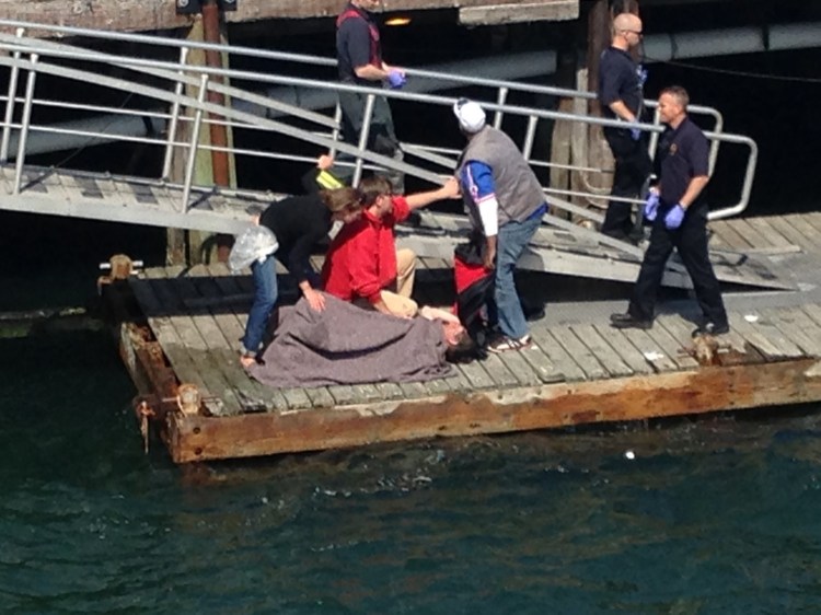 Rescue personnel tend to a man who fell off a dock at the Maine State Pier in Portland on Wednesday. John Tracy, a Casco Bay Lines captain, dove into the water to help the man to the dock.