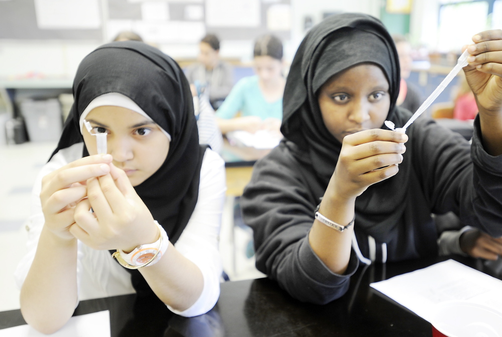 Manar Ajeel, left, and Naimo Hussein perform a test for GMO characteristics on soybean plants in Catherine Bursk’s seventh-grade class at King Middle School.