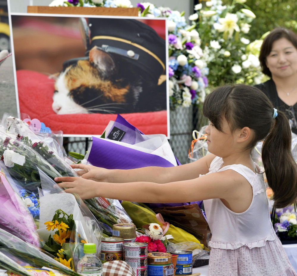 A girl lays bouquets of flowers at an altar especially set up for a funeral of Tama, a cat stationmaster, in Kinokawa City, Wakayama Prefecture, Japan, on Sunday.