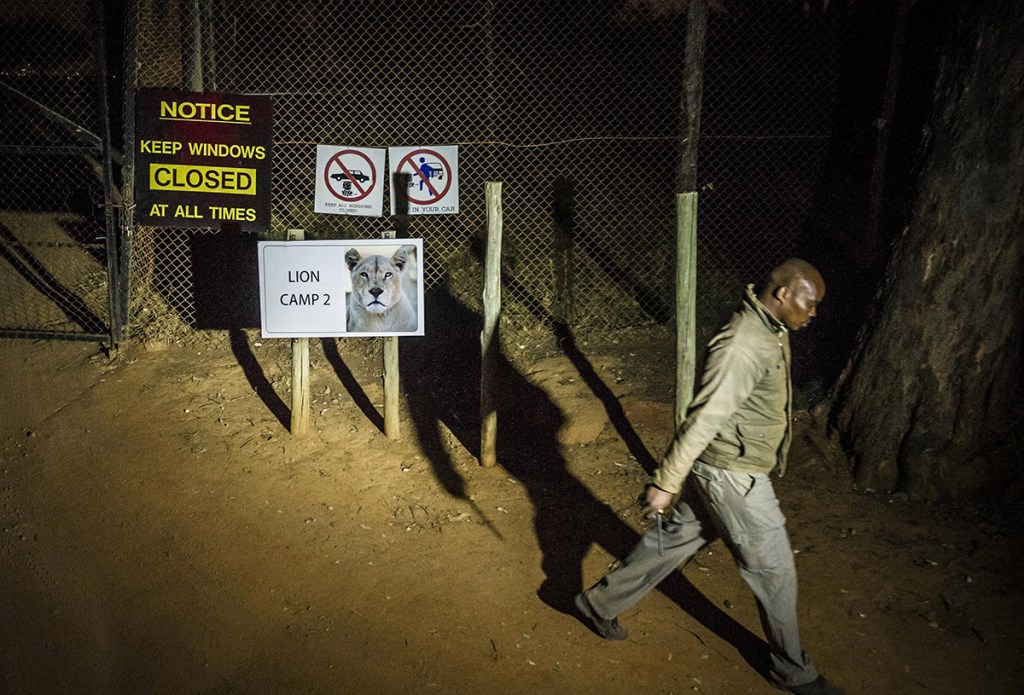 A man walks past warning signs at the Lion Park, near Johannesburg Monday. The Associated Press