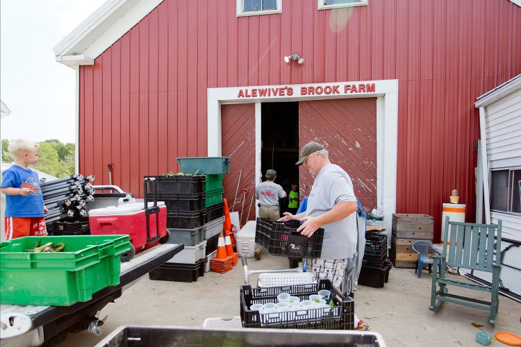 John Gildard carries a crate of fruit while he works with Lincoln Jordan, at rear, and Jordan's nephews Bennett Rideout, 3, and Sam Rideout, 6, to unload at Alewive's Brook Farm in Cape Elizabeth after attending a farmers market in Scarborough on Monday. The farm is one of many that are urging Maine's university system to buy from local farms. 