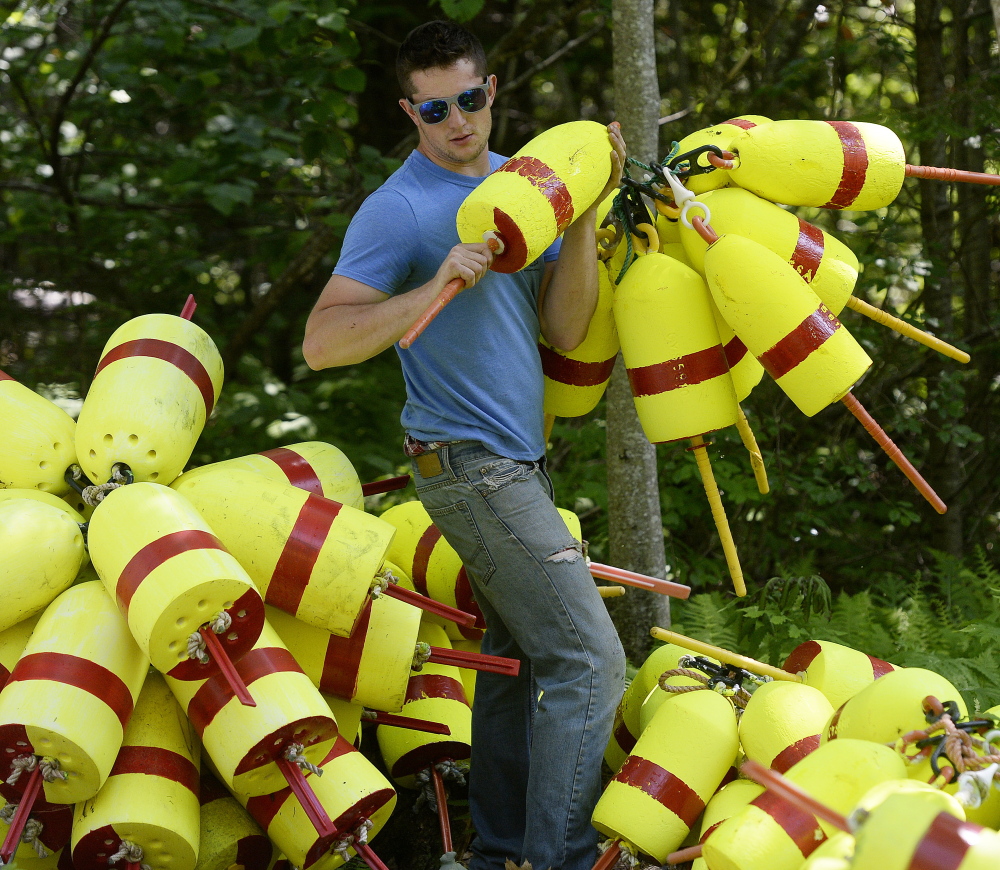 Lobsterman Cyrus Sleeper hoists buoys from his yard in South Thomaston to load into a pickup truck as he gets ready for the lobster season. Sleeper’s optimistic about the fishery this year, even though it’s one to two weeks behind schedule. “The later they shed, the better the quality,” he said.