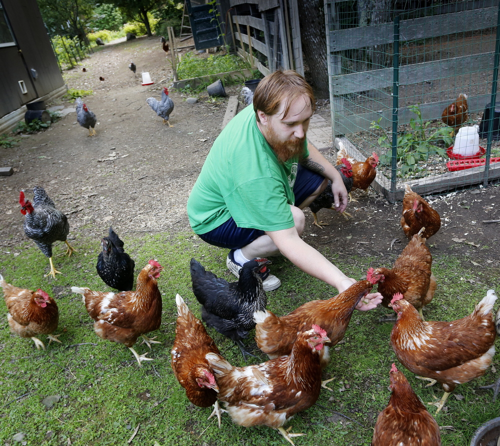 Ryan Lent tends his chickens at his home on Bonny Eagle Road in Standish.
Derek Davis/Staff Photographer
