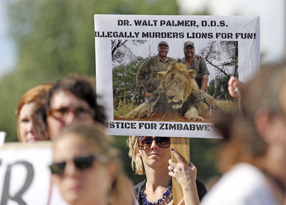 People rally outside the River Bluff Dental clinic in Bloomington, Minn., to protest the illegal killing of a rare lion in Zimbabwe by dentist and hunter Walter Palmer.