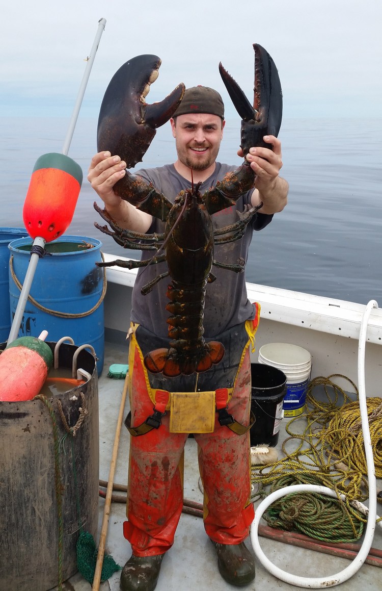 Ricky Louis Felice Jr. of Cushing poses with the giant lobster that the crew of a boat he was a deckhand on caught, then released, off the coast of Maine. Felice is 5 feet, 10 inches tall.

