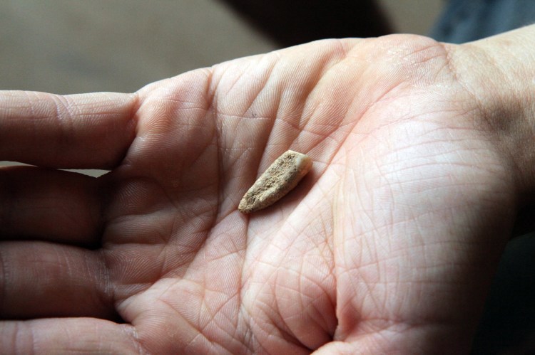 Two young volunteers found this human tooth from about 560,000 years ago in a famous prehistoric cave in France. EPCC-CERP Tauvalel via AP