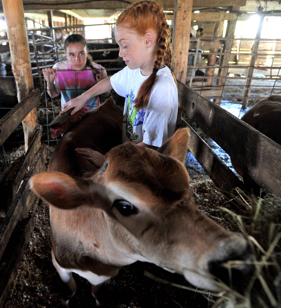 Like the late Cassidy Charette, 10-year-old Lauren Tyler likes tending to the animals, in this case Pansie the cow, at Albion’s Hart-to-Hart Farm, which is raising money to build a kitchen and meeting building in honor of Charette.