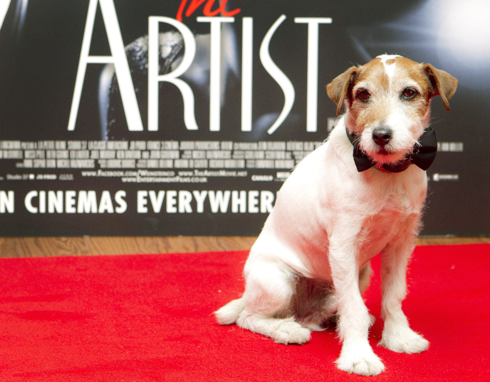 Uggie, who starred in the film “The Artist,” became a canine sensation for his scene-stealing performance in the movie voted Best Picture of 2012. The Jack Russell terrier died Friday.