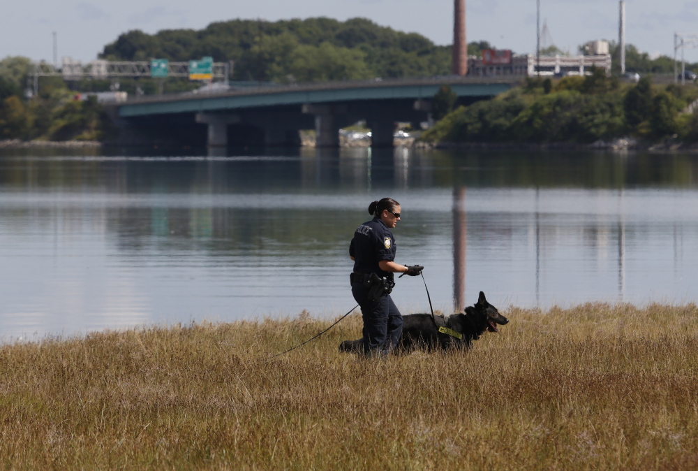 Officer Michelle Cole and K-9 Kaine search Thursday along Portland’s Back Cove Trail during an investigation into a report that a woman was sexually assaulted while walking there Wednesday.