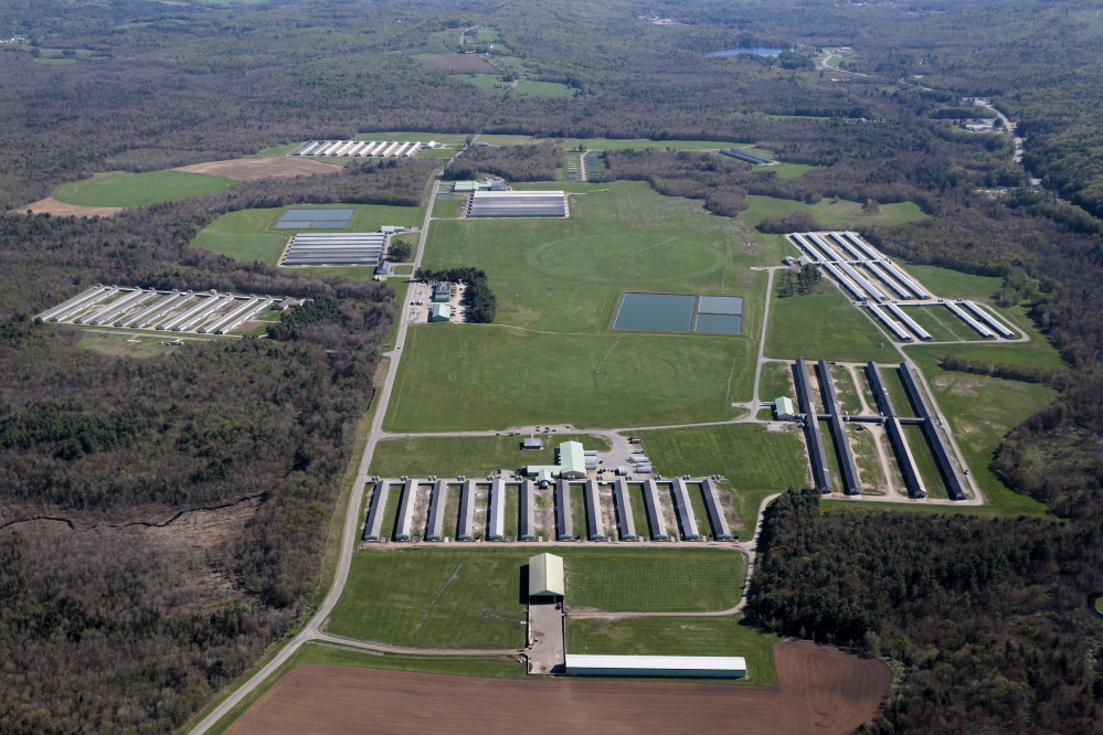 Quality Egg Farm in Turner, one of three Maine egg operations purchased recently by Hillandale Farms, was once owned by Jack DeCoster.