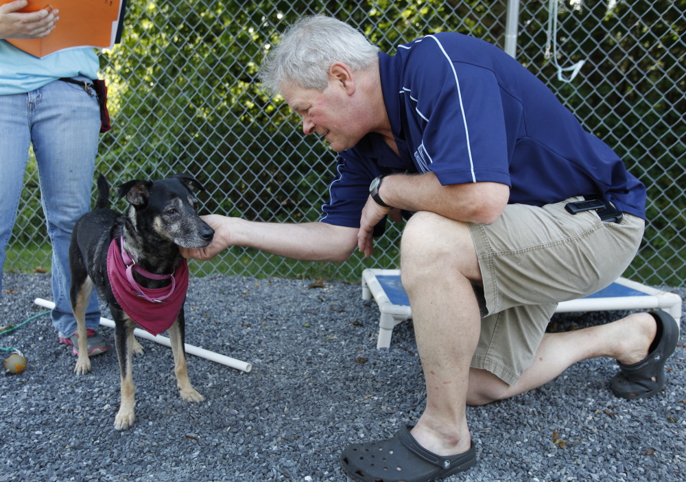 Buddy Whitehouse of Kennebunk greets a dog called Sadie on Saturday during the Animal Refuge League of Greater Portland’s Clear the Shelter event in Westbrook. Whitehouse decided to adopt Sadie. 
 Joel Page/Staff Photographer