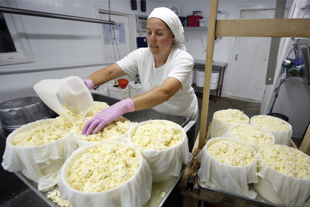 Heather Donahue scoops cheese curds into containers while making gouda at Balfour Farms in Pittsfield. State officials say the number of retail cheesemakers in the state grew from 40 in 2010 to 80 this year.