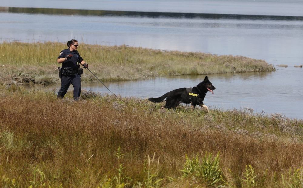 Officer Michelle Cole and police dog Kaine search along Back Cove in Portland last Thursday after an alleged sexual assault along the trail Wednesday afternoon.