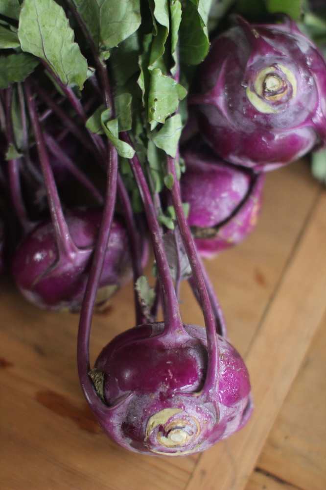 Kohlrabi is a member of the brassica family; its relatives include broccoli, cauliflower, turnips and kale.