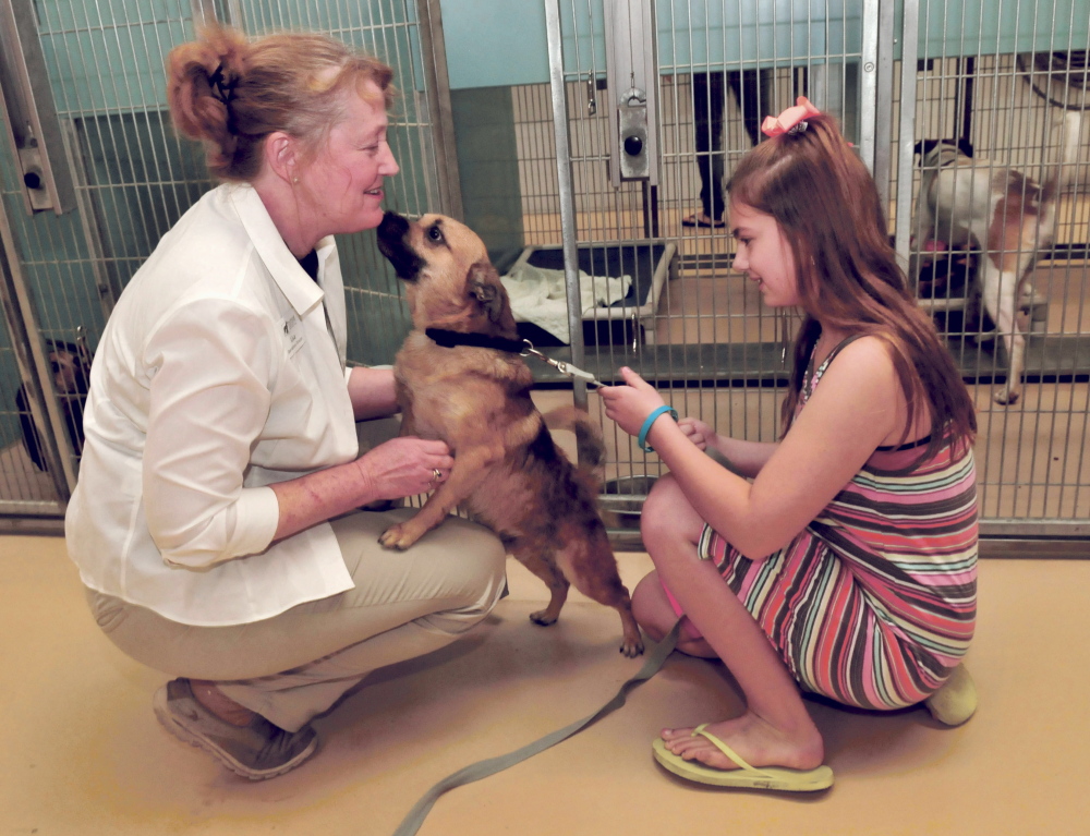 Lisa Smith, director of the Humane Society Waterville Area shelter, gets affection from a dog that Kaysa Salisbury is interested in adopting.
