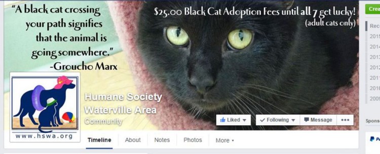 The Humane Society Waterville’s Facebook page has helped the shelter in numerous ways, officials at the shelter say.