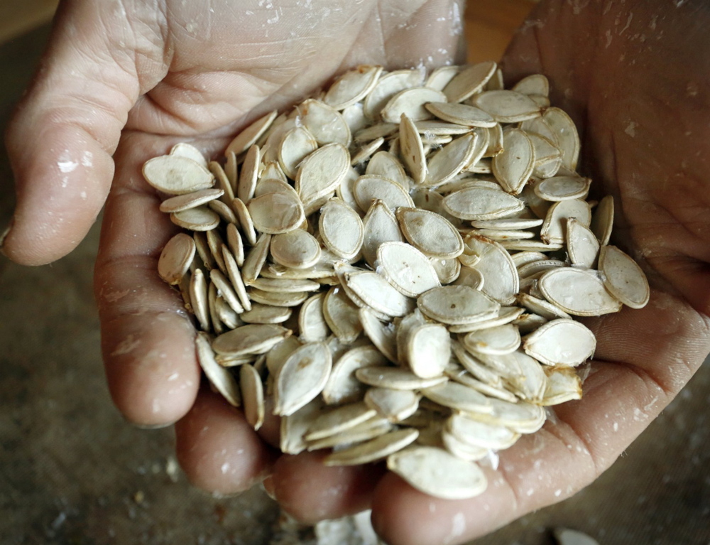 Will Bonsall holds squash seeds that have been dried on screens that rest above his kitchen counter.