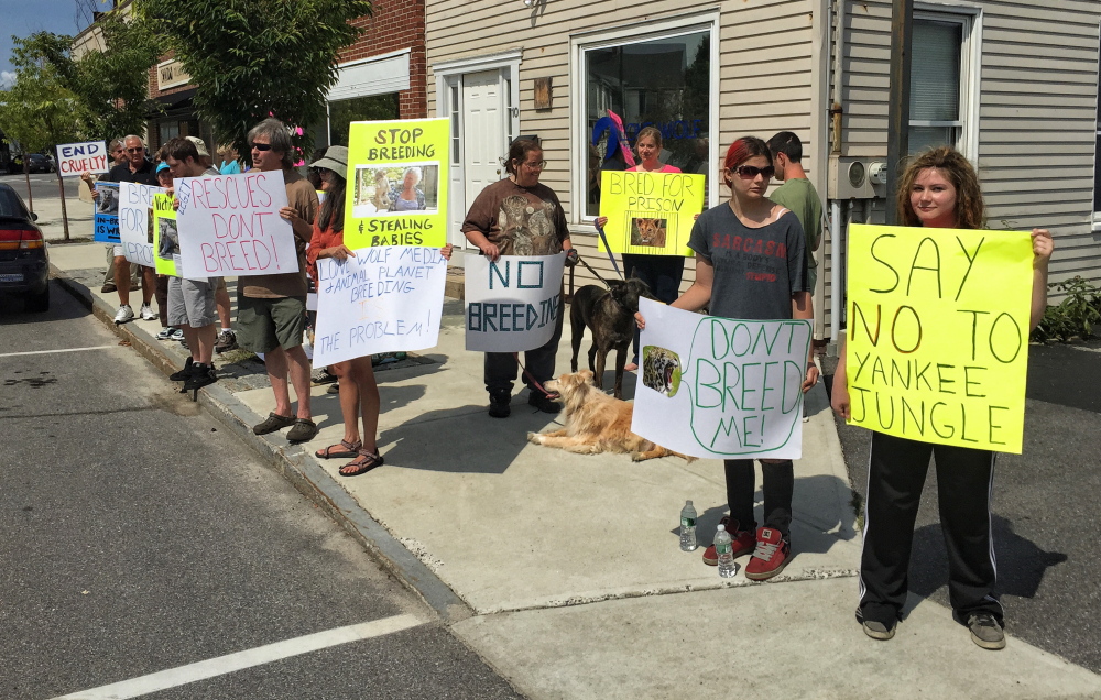Protesters picket outside Lone Wolf Media in South Portland on Saturday, objecting to a show on the Animal Planet channel.