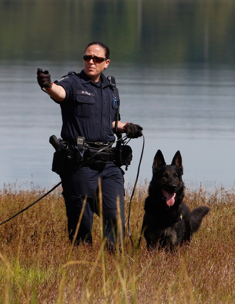 Officer Michelle Cole and a police dog search along Back Cove on Thursday, investigating a reported rape along the trail Wednesday afternoon.
Joel Page/Staff Photographer