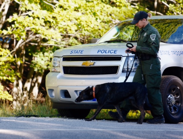 Members of the Maine State Police and the Maine warden service, along with a search dog, gather Friday on the Canton property owned by Brian Enman, where a search has been reignited for Kimberly Moreau who went missing in May of 1986.
