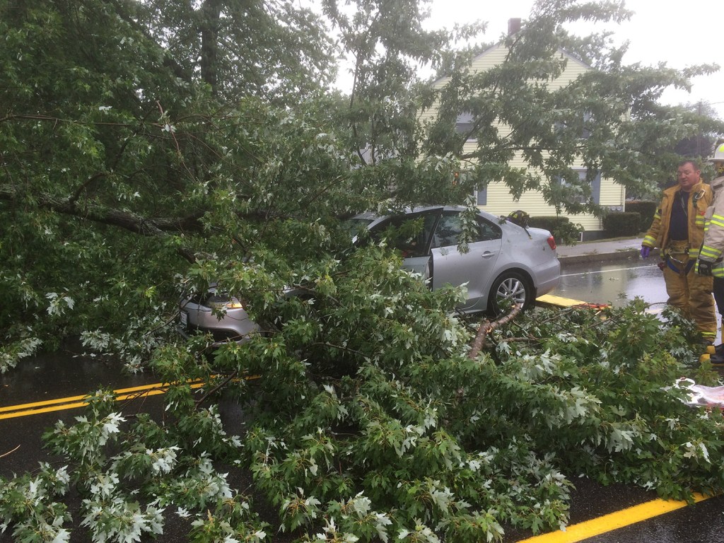 Mary Keefe of Saco was driving west on Broadway in South Portland when a limb from a maple tree fell on her car, crushing the roof and crashing through the windshield. Fire Chief Kevin Guimond said, “I’ve never seen anything like it in my life.”
