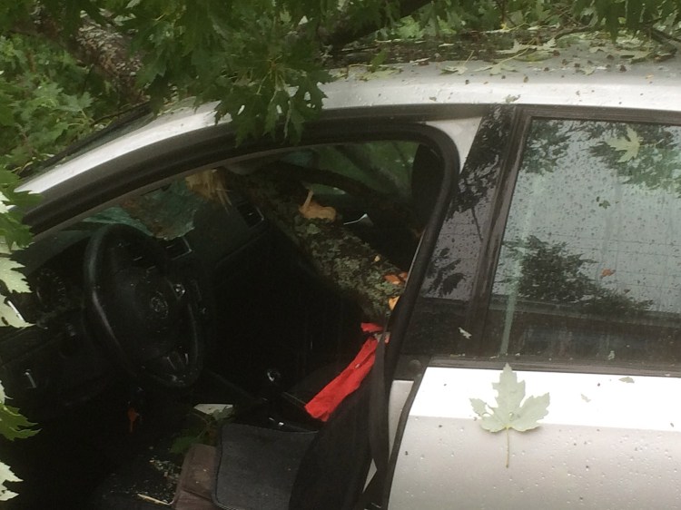 This limb from a falling tree scraped Mary Keefe’s face and came within an inch of her head, said South Portland's fire chief. The impact of the crash brought the car to a halt.
Photo courtesy South Portland Fire Department