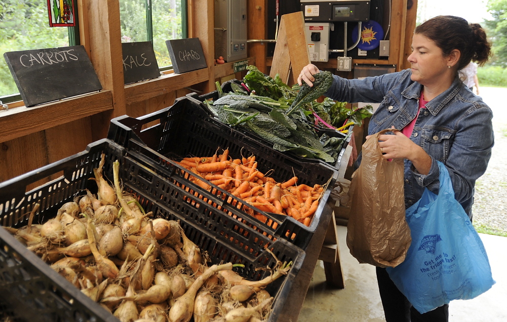 Jennifer Derosa of Auburn picks out her community share of vegetables at Little Ridge Farm. The farm’s owners expect their new solar array will offset their electricity costs of about $2,400 a year.