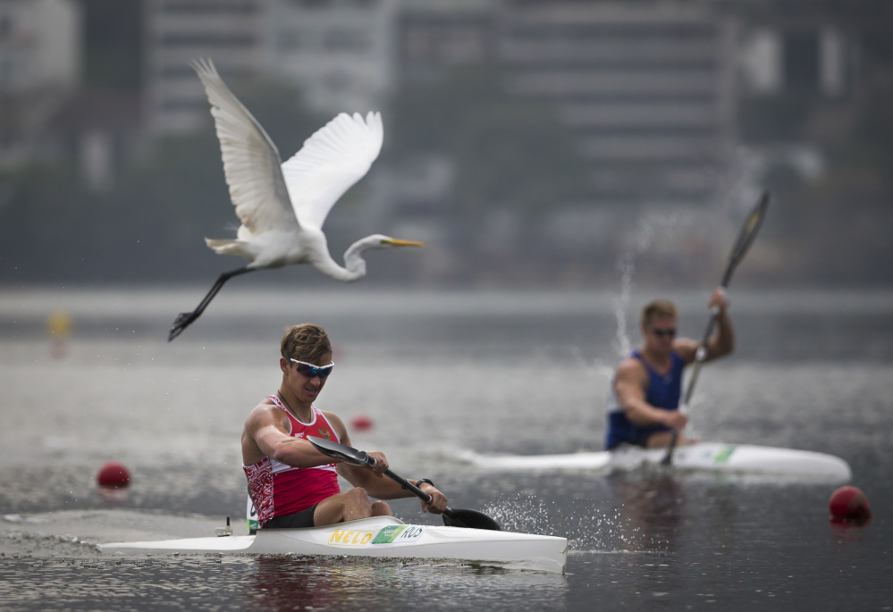 Canoeists compete in Rio de Janeiro on Friday in waters that have drawn concern from athletes prior to next year’s Olympics. Waters around Rio often contain raw sewage, though that pollution doesn’t appear have caused a  skin infection on a German sailor, scientists say.