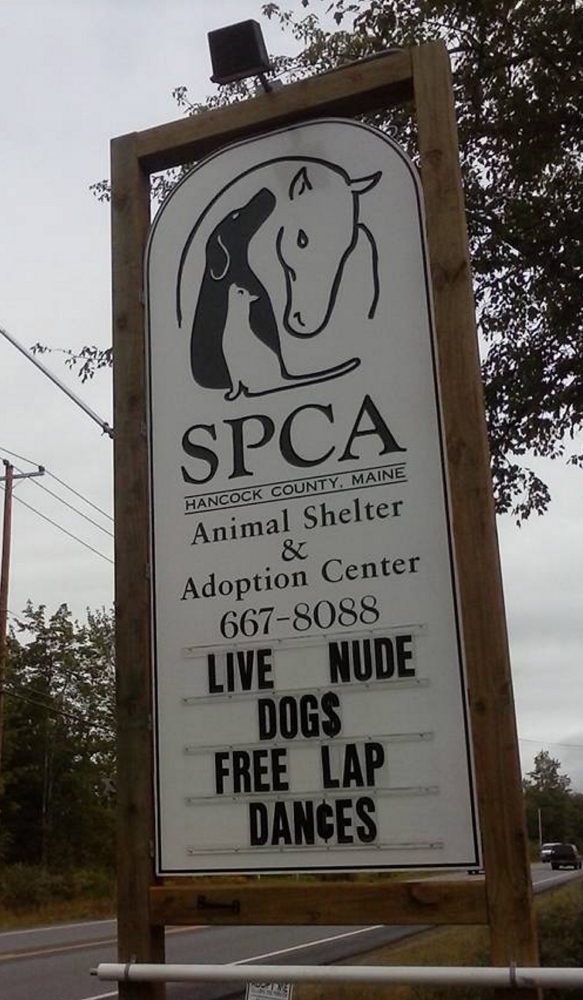 The sign used to attract attention to dogs up for adoption at the Hancock County shelter.