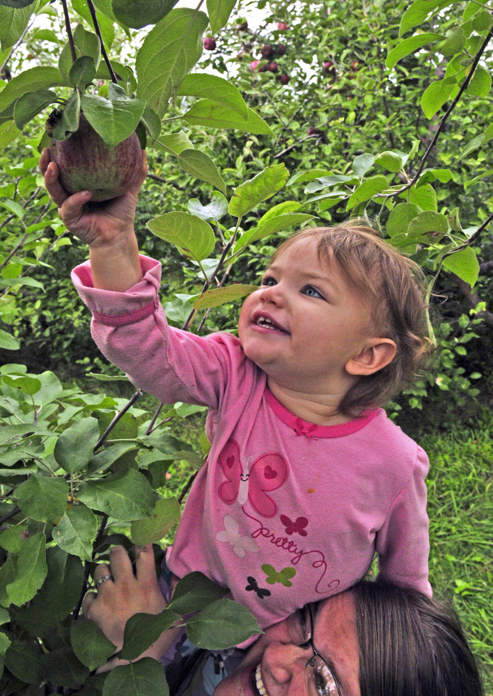 Aravis Epley, 2, gets a lift from her mother, Christina Epley, to reach an apple Tuesday at Lakeside Orchards in Manchester.