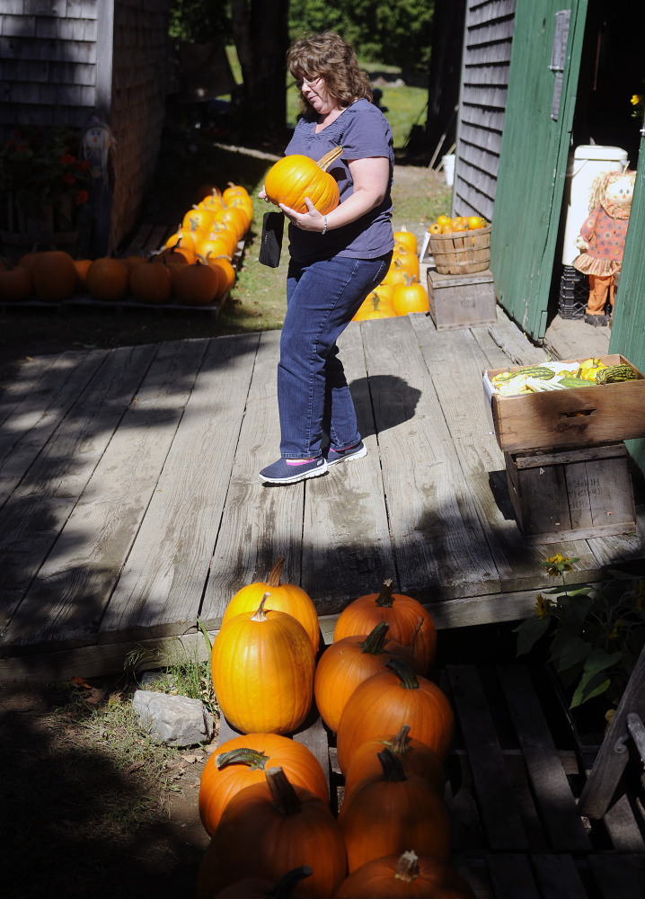 Sue Hinkley, of Pittston, carries a pumpkin she bought Sunday at Bailey’s Orchard in Whitefield. The 60-acre farm is open for picking, according to owner Kay Bailey, until “all the apples are gone.” Hinkley said she selected the gourd after harvesting a bag of apples on her annual trip to the orchard with her husband, Morris.