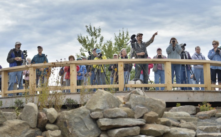 Birders look out from a platform atop Mount Agamenticus in York after taking in a class led by biologist Katrina Felton. Despite less than perfect weather – breezy is best – the group saw three turkey vultures, a few osprey, a Cooper’s hawk, a kestrel and two marlins in the span of an hour.