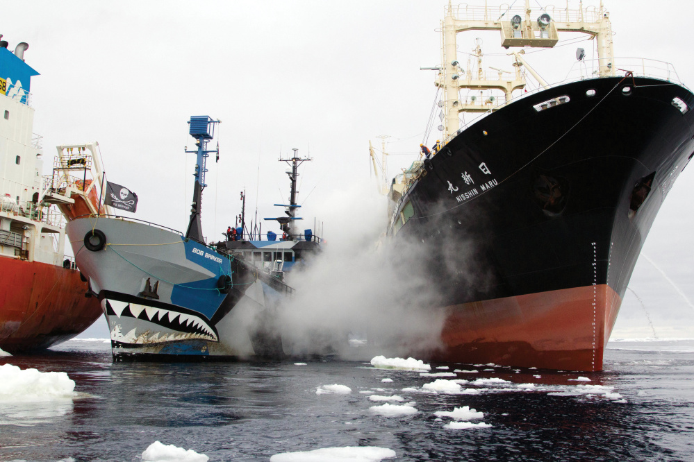 The Sea Shepherd ship Bob Barker, center, takes action against a whaling fleet, including the Japanese ship Nisshin Maru, right, in a photo included in the cookbook.