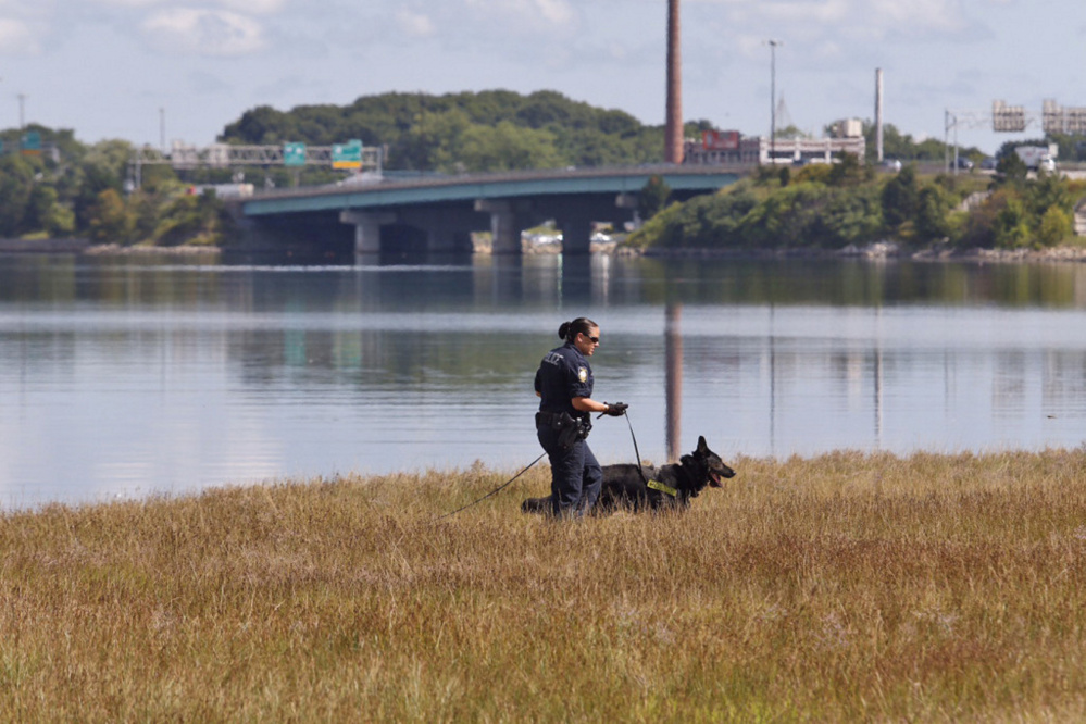 Portland police Officer Michelle Cole and search dog Kaine conduct a sweep for evidence near the Back Cove Trail in August following a reported sexual assault there. The woman who reported the crime has pleaded not guilty to filing a false report.