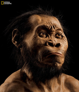 This photo provided by National Geographic from its October 2015 issue shows a reconstruction of Homo naledi's face by paleoartist John Gurche at his studio in Trumansburg, N.Y.
