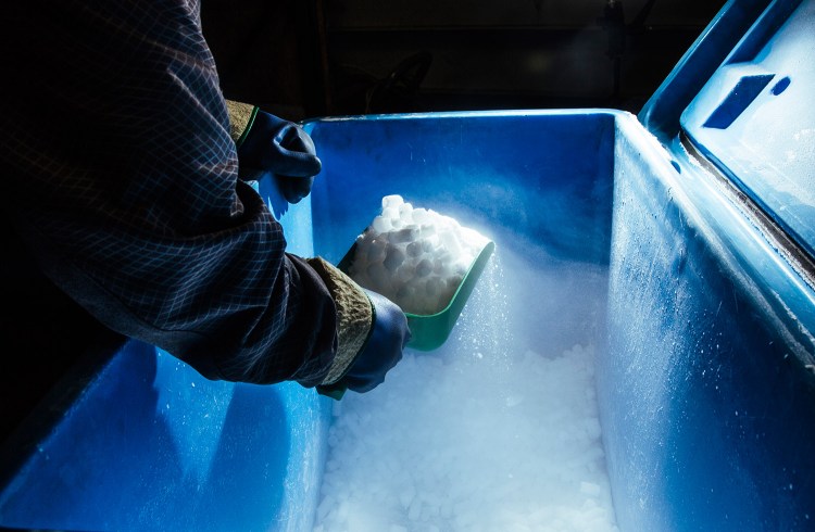 Vessel Services employee Eli Fitch scoops pellets of dry ice at the Portland Fish Pier on Wednesday.
Whitney Hayward/Staff Photographer