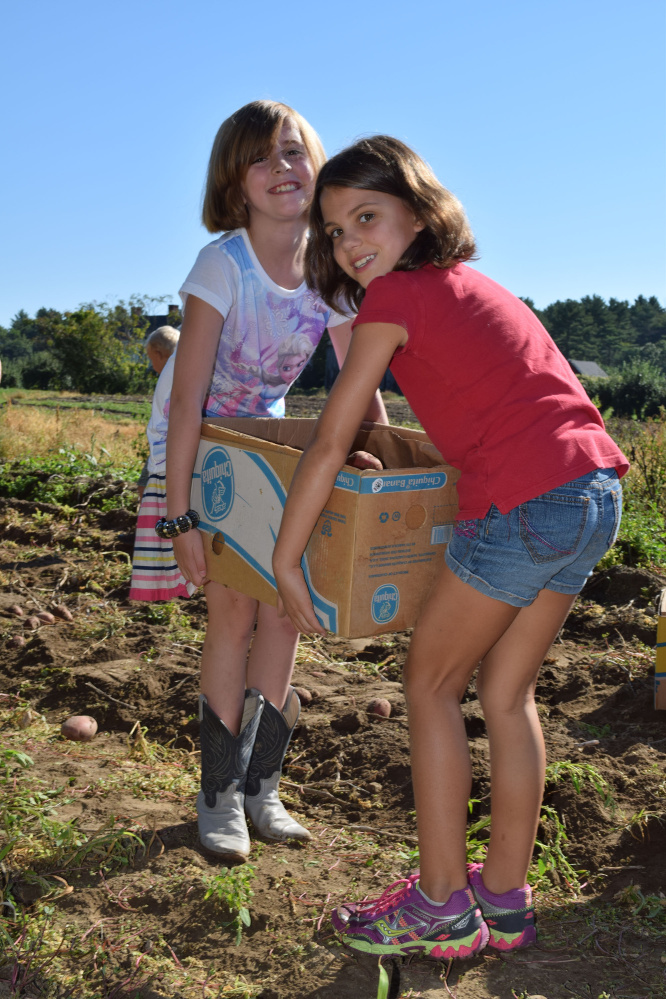 Wells Elementary School students carry a box of potatoes they picked for delivery to the school cafeteria as part of Farm to School Week activities.