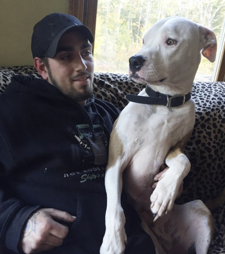 Mitchell Marquis’ dog Ziggy could be euthanized if a judge issues an order. Ziggy has attacked two dogs – one in 2012 and one this week.