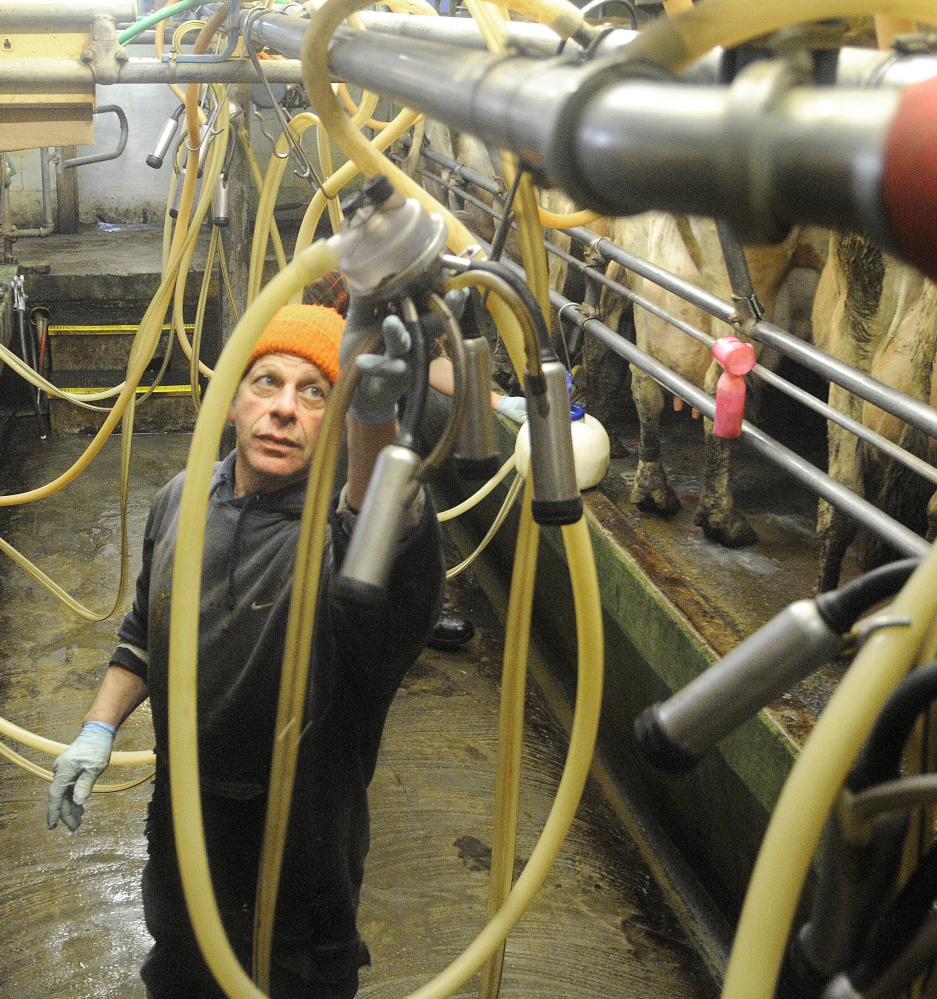 Spencer Aitel of Two Loons Farms tends to his dairy in South China. A Harvard University study finds Maine’s food industry fragmented.