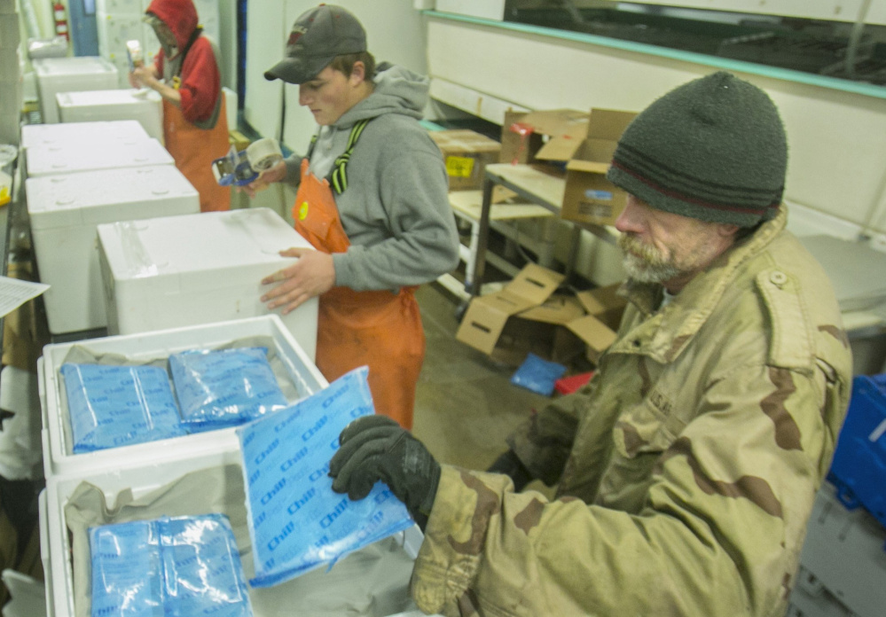 At The Lobster Co. in Arundel last December, Dan Warner places a cold pack on top of live lobsters in a foam container to be shipped to China. Maine exports to China, driven largely by lobsters, pulp and paper and computers, have decreased over the past three years. Exports through August are up incrementally.