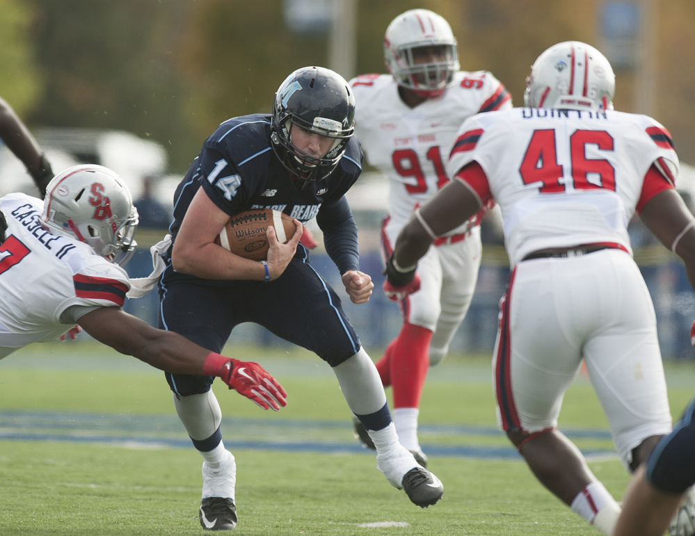 UMaine quarterback Drew Belcher weaves through the Stony Brook defense during Saturday’s game in Orono. Belcher replaced starter Dan Collins in the first quarter and rushed for a touchdown in Maine’s 23-10 win.