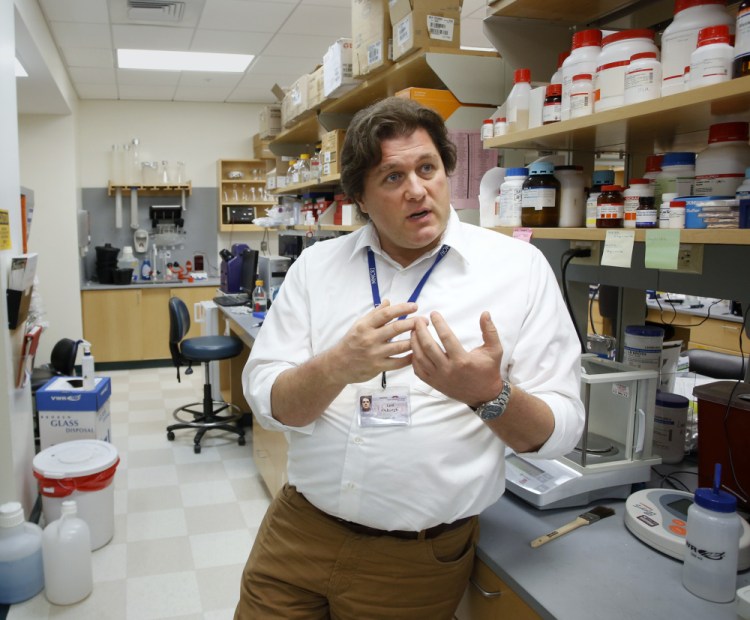 Dr. Leif Oxburgh is growing kidney tissue at the Maine Medical Center Research Institute lab in Scarborough. “Some people can’t tolerate the immune therapy, the anti-rejection drugs. This could open up transplants to a huge group of patients who could never get one,” he said.
