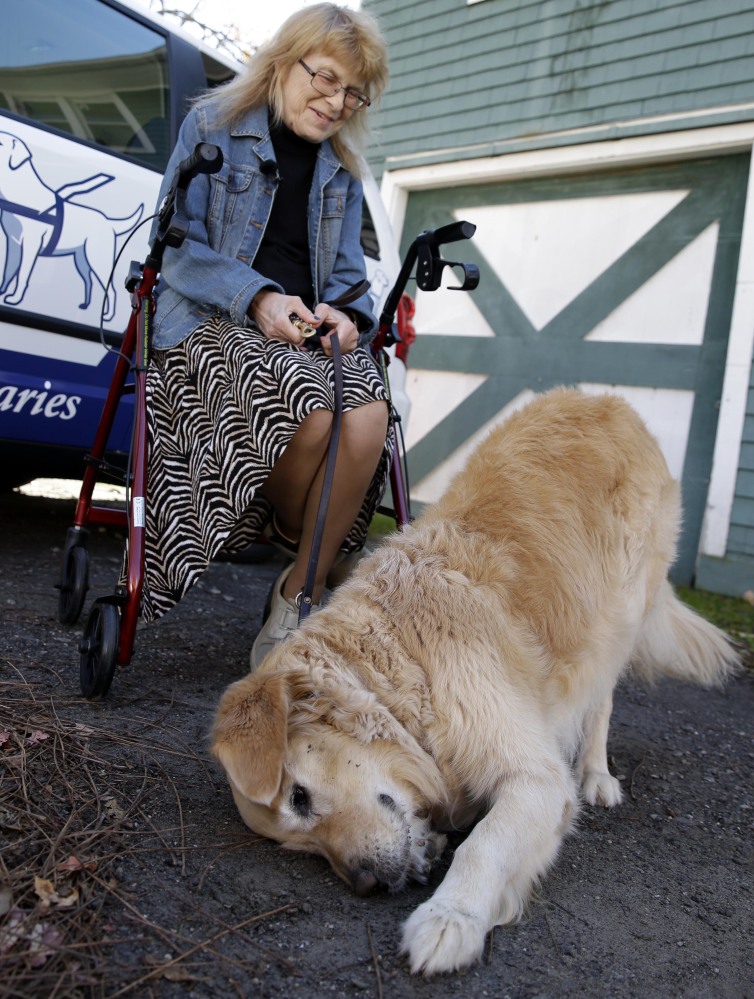 Audrey Stone holds the leash of her guide dog, Figo, as he rolls in the dirt at her house in Brewster, N.Y.