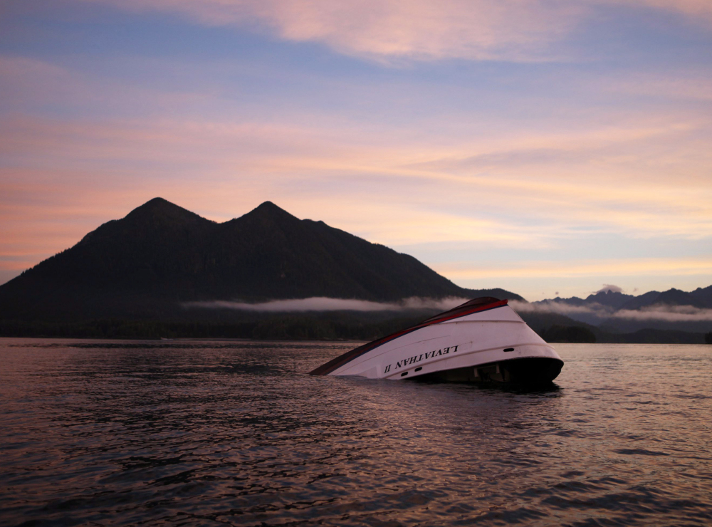 The Leviathan II, a whale-watching boat that capsized Sunday off Vancouver Island, apparently sank in calm weather. A father and his teenaged son are among those who died. A fisherman said a female survivor told him a wave struck the boat.