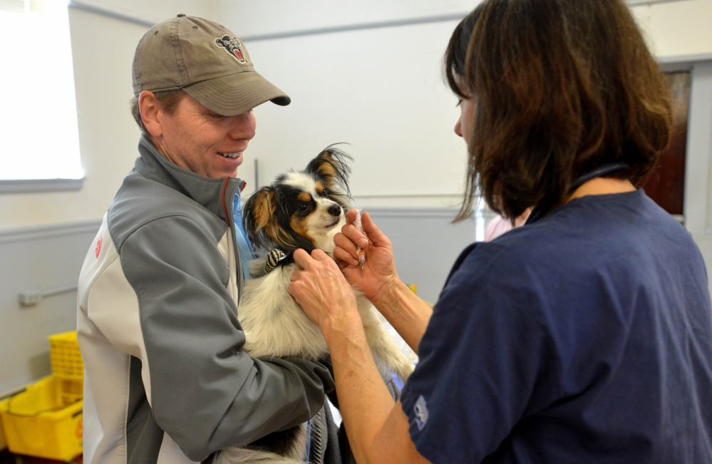 Jason Bernier holds his dog, Morrisson, as Dr. Elizabeth Stone gives him a shot during a free wellness clinic for low-income residents at the American Legion Hall in Waterville.