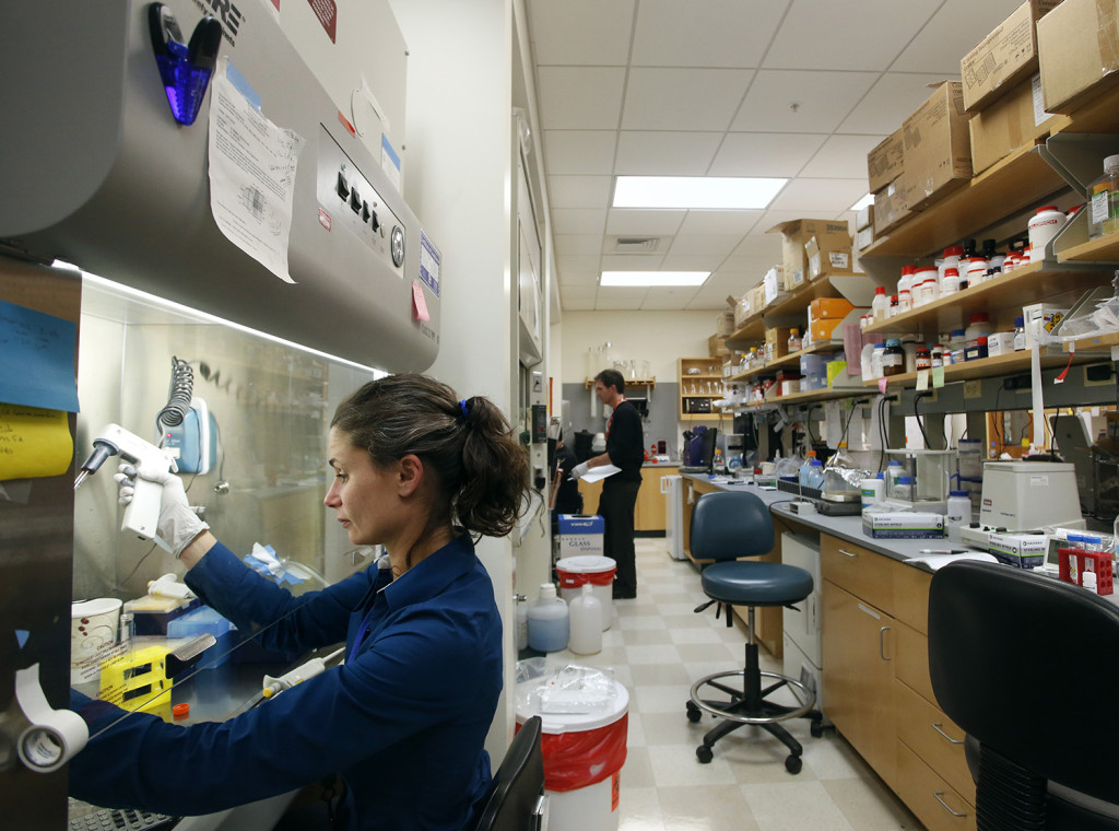 Maine Med scientist Dr. Leif Oxburgh has been granted $6 million to study how to grow kidney tissue. ,Research associate Michele Karolak works at the lab in Scarborough. Derek Davis/Staff Photographer