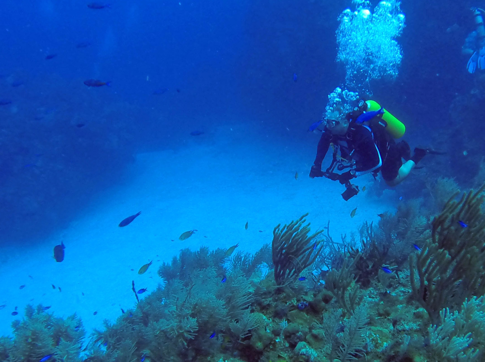 A diver surveys the scene off Cuba’s Guanahacabibes peninsula. A new accord between the U.S. and Cuba  allows for researchers to collaborate to protect the marine life here.