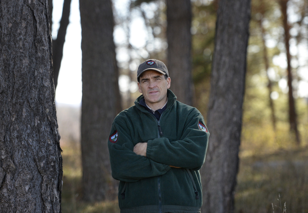 Kelsey Sullivan, wildlife biologist who studies Maine’s wild turkeys, in a grove of trees near his Bangor office. Shawn Patrick Ouellette/Staff Photographer
