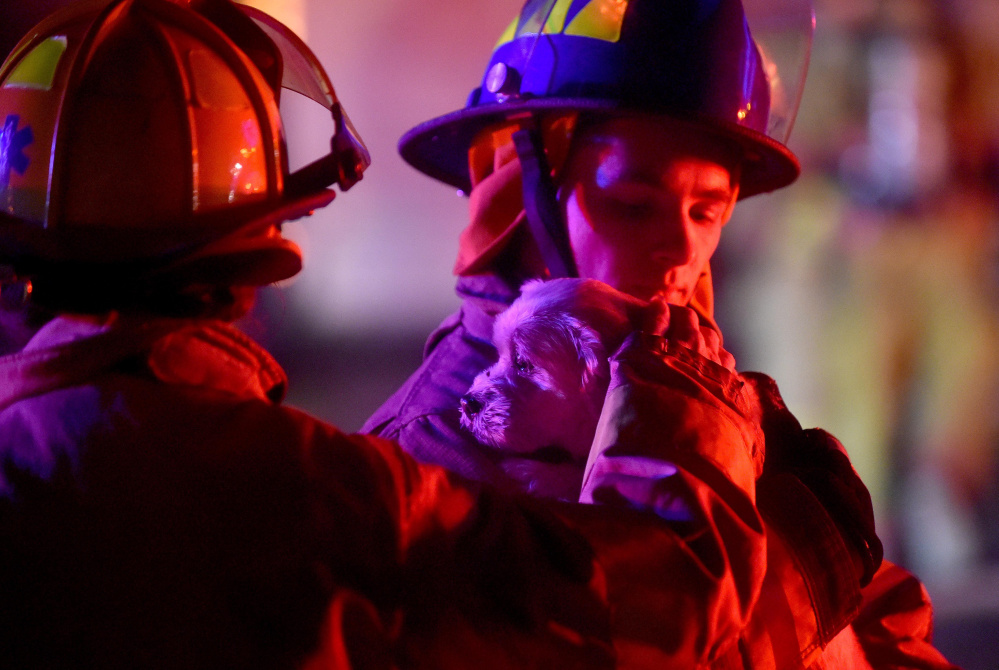 Firefighters tend to a dog rescued from a fire at 11 Louise St. in Waterville on Thursday.